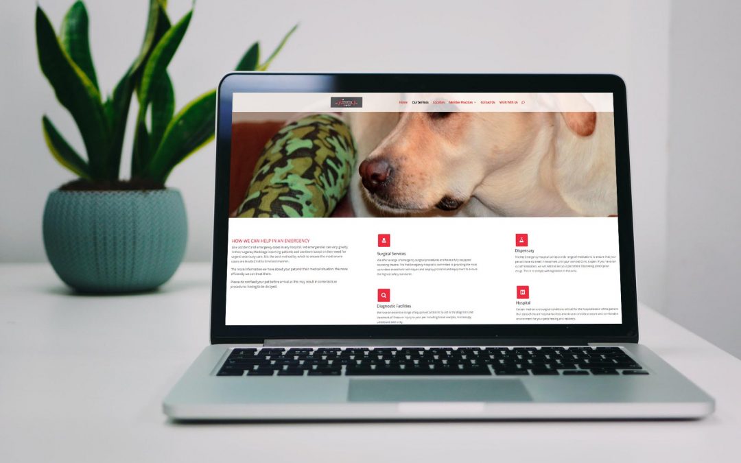website design for pet hospital