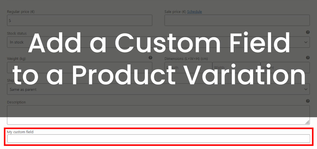 Add a Custom Field to a Product Variation