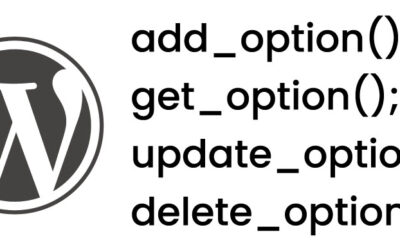 How to Add and Update WordPress Options