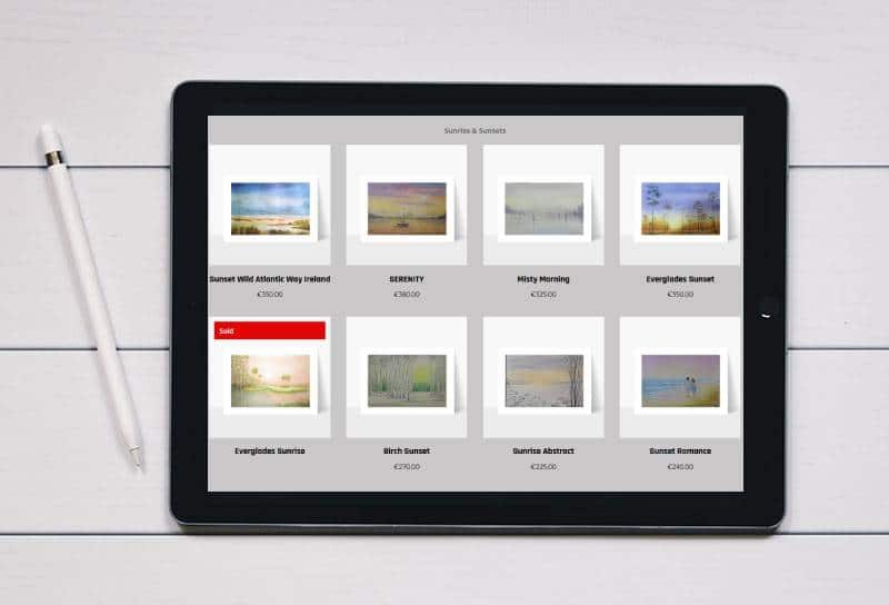 website design for a green party councillor