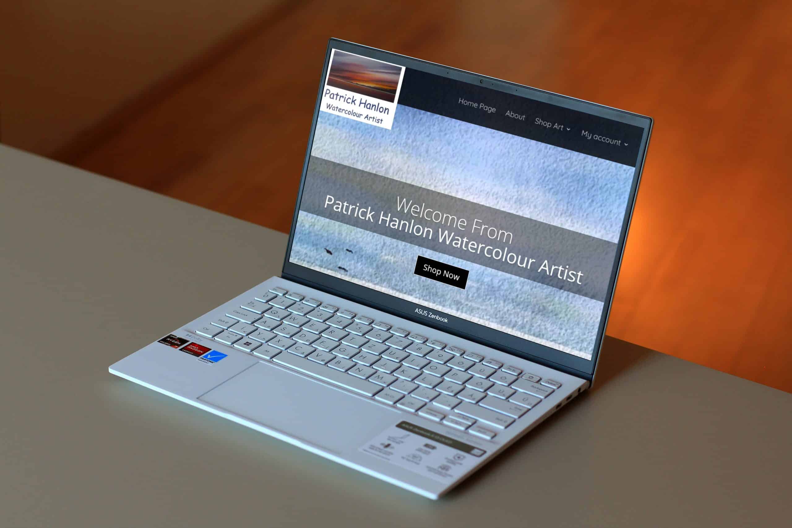 website design for a green party councillor