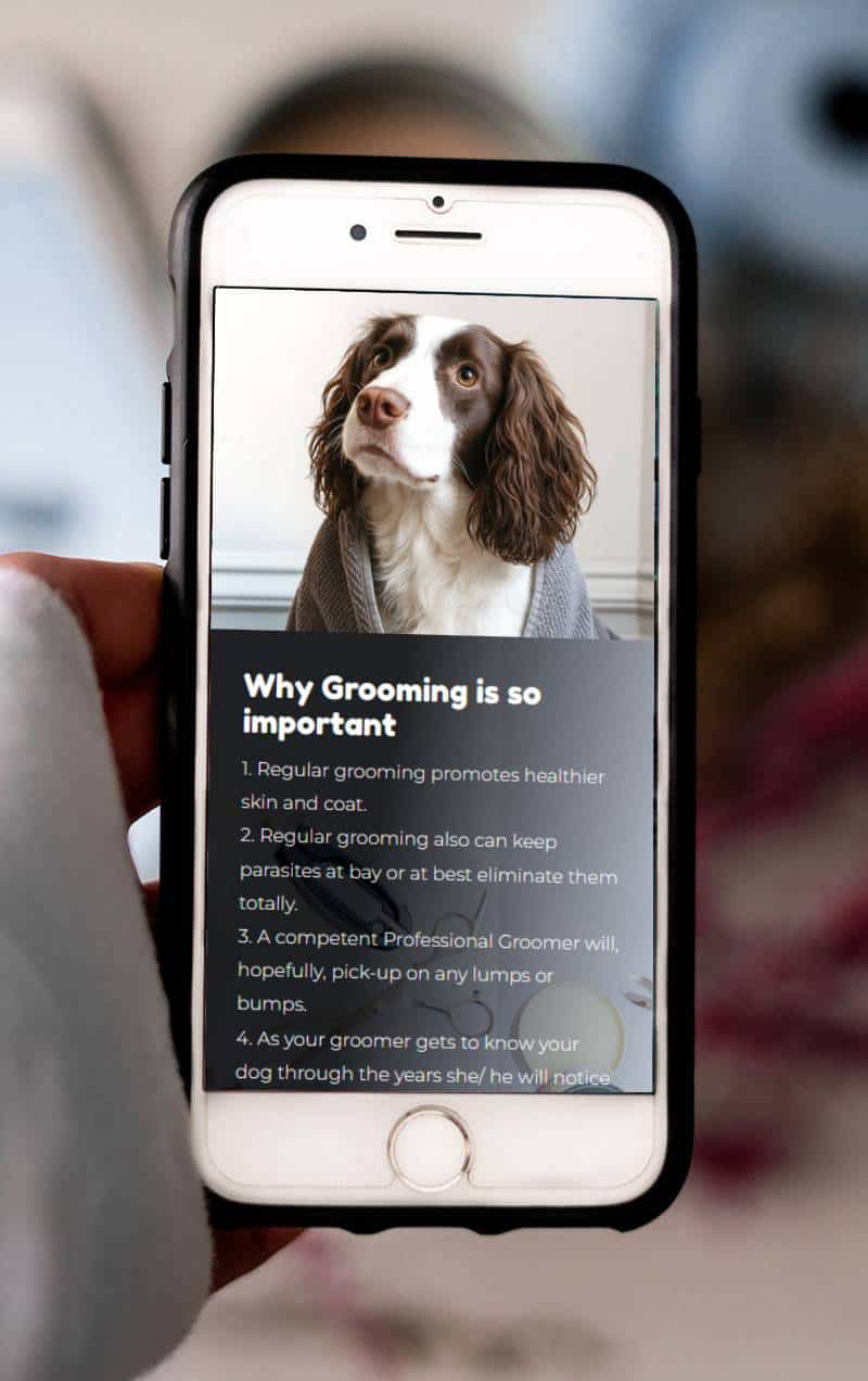 website design for a green party councillor